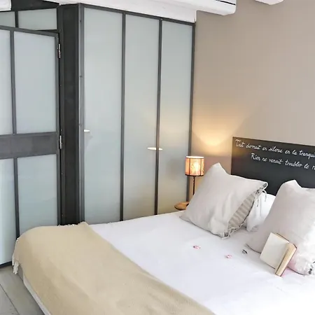 Surprenantes- Jules Verne *