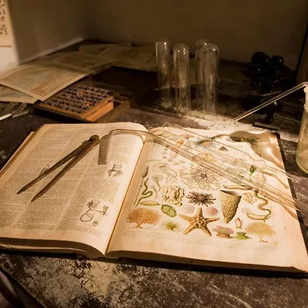 Apartamento Surprenantes- Jules Verne *