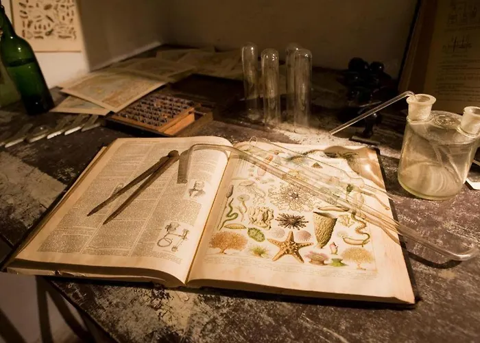 Daire Unique A ! Surprenantes- Jules Verne *